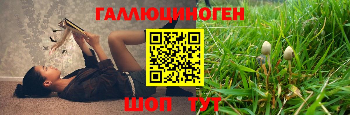 Псилоцибиновые грибы Cubensis  Вход с VPN  Балашиха 