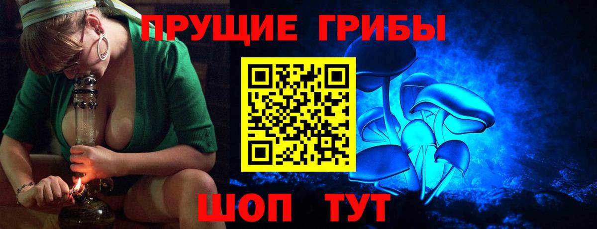 Псилоцибиновые грибы Cubensis Балашиха